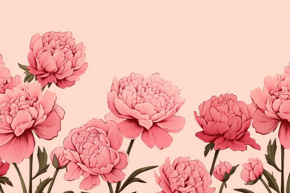 Peony flowers backgrounds petal plant. AI generated Image by rawpixel.