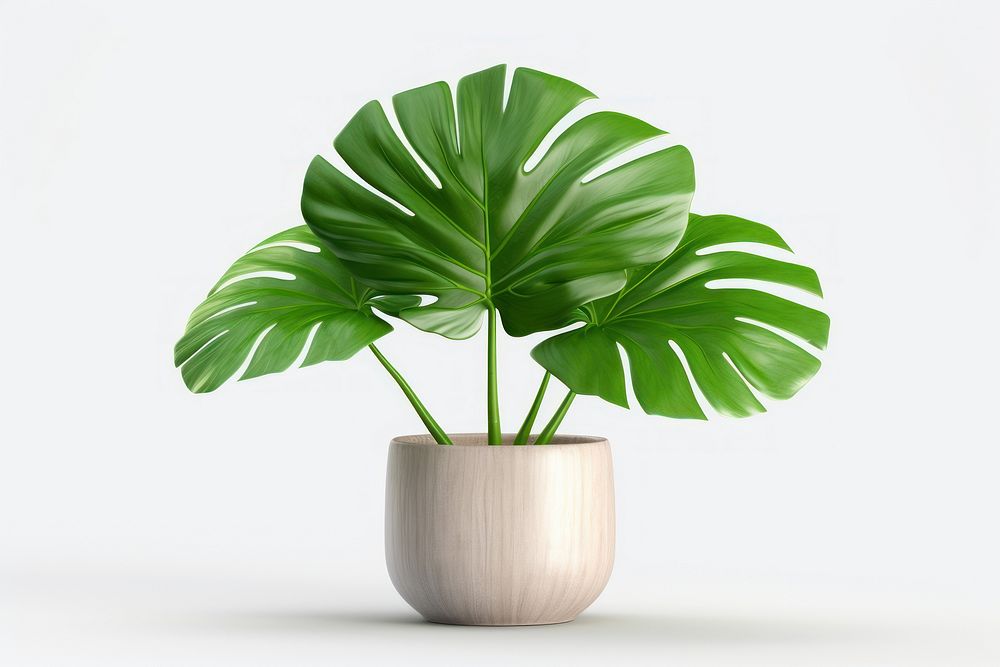 Monstera plant leaf vase. AI generated Image by rawpixel.