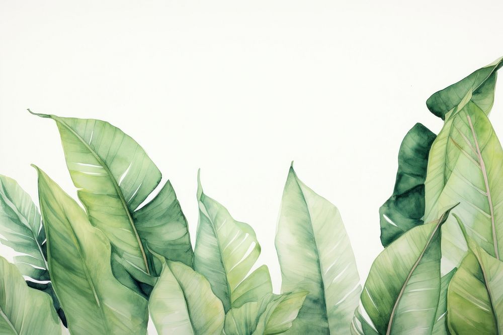 Banana leaves nature plant green. AI generated Image by rawpixel.