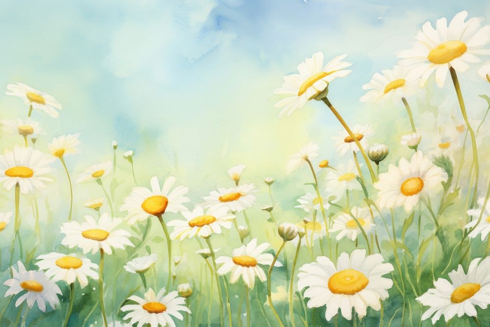 Daisy flowers nature backgrounds landscape. AI generated Image by rawpixel.