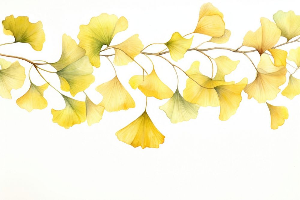 Ginkgo leaves nature flower plant. AI generated Image by rawpixel.