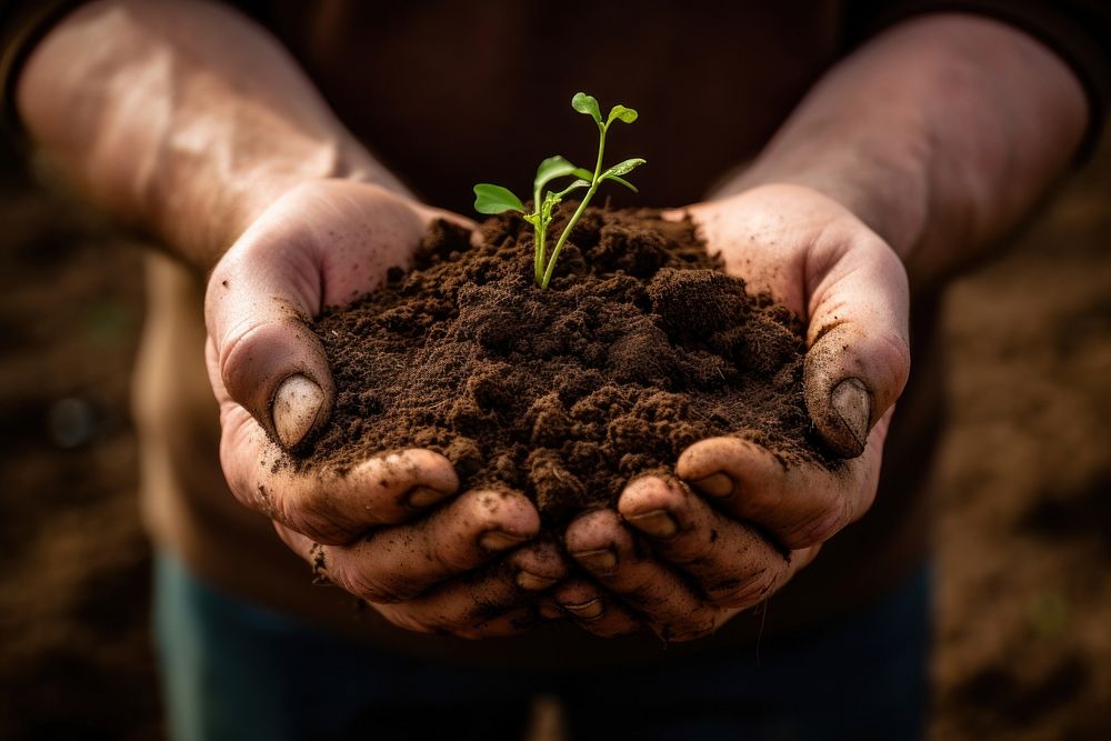 Hands holding soil gardening planting outdoors. AI generated Image by rawpixel.