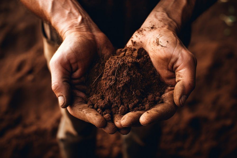 Hands holding soil outdoors nature agriculture. AI generated Image by rawpixel.