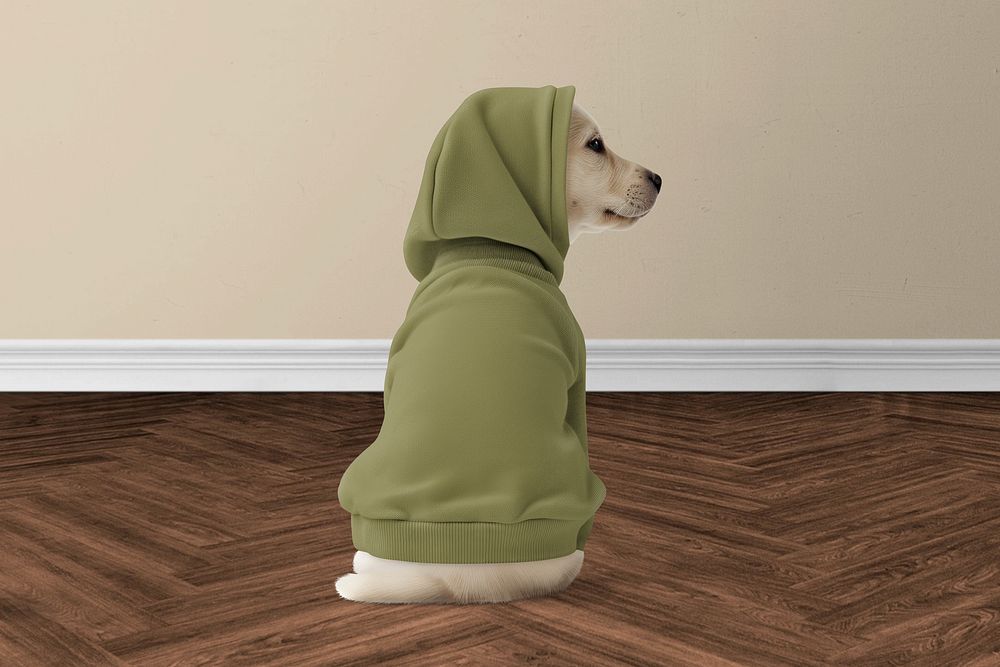 Dog wearing hoodie, petclothing