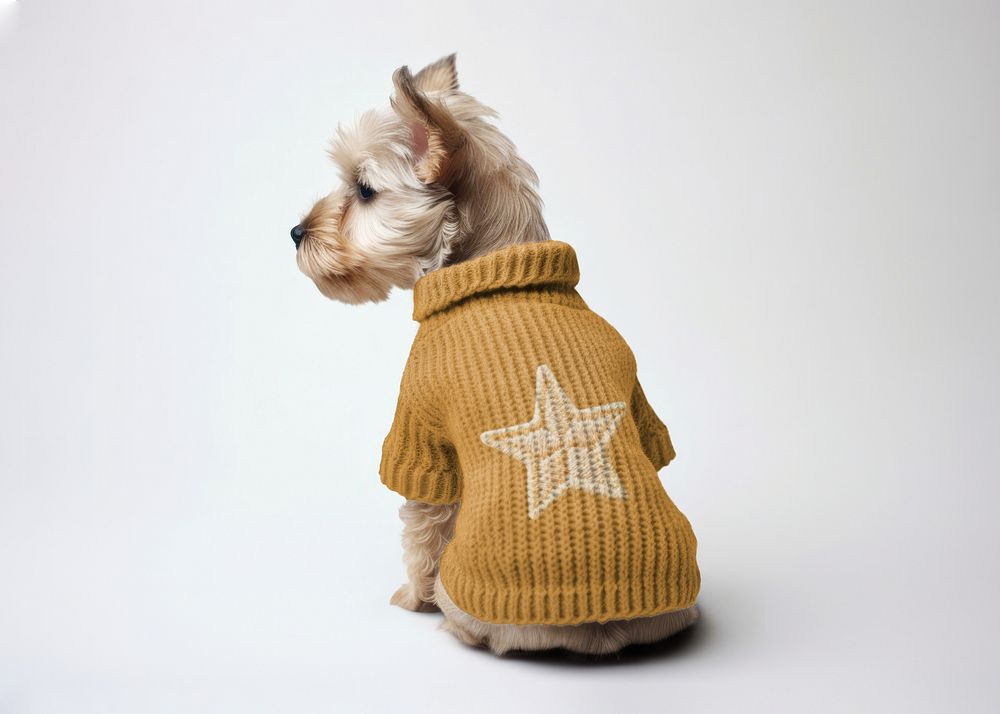 Dog's knitted sweater mockup psd
