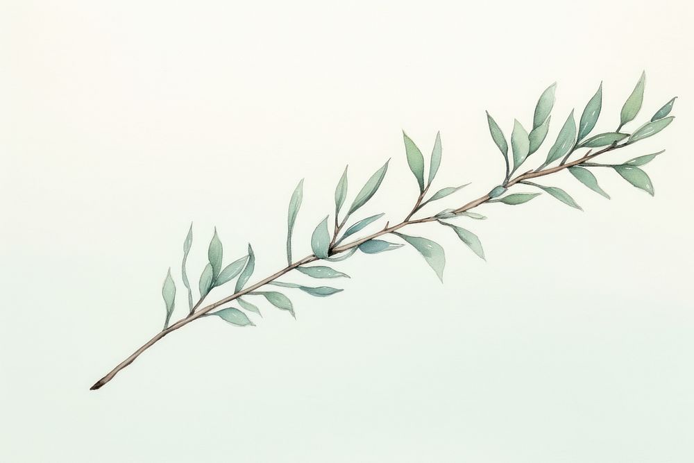 Aesthetic watercolor background tree branch plant. AI generated Image by rawpixel.