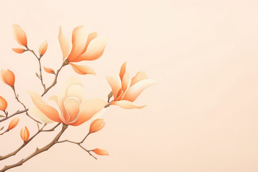 Aesthetic watercolor background flower backgrounds magnolia. AI generated Image by rawpixel.