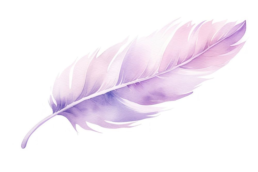 Aesthetic watercolor background feather purple lightweight. AI generated Image by rawpixel.