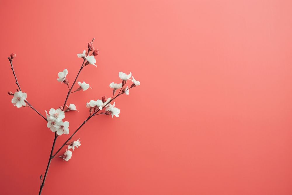 New year blossom flower plant. AI generated Image by rawpixel.