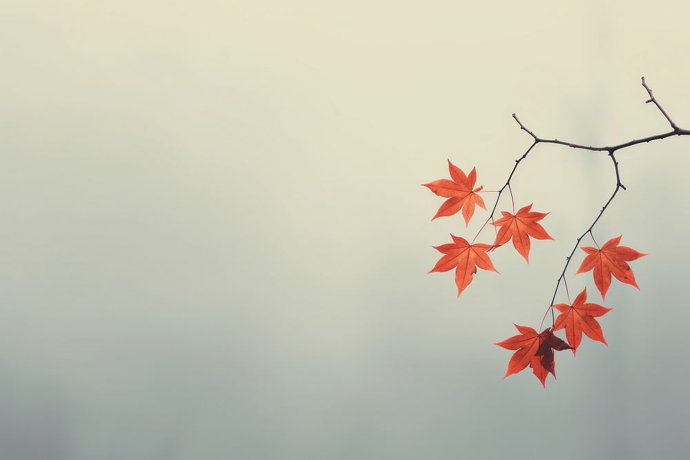 Autumn plant leaf tree. AI generated Image by rawpixel.