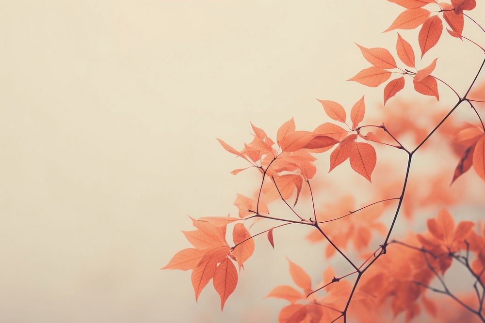 Autumn plant leaf tree. AI generated Image by rawpixel.