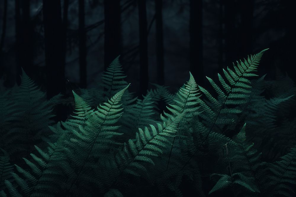 Ferns in the dark fern outdoors nature. AI generated Image by rawpixel.