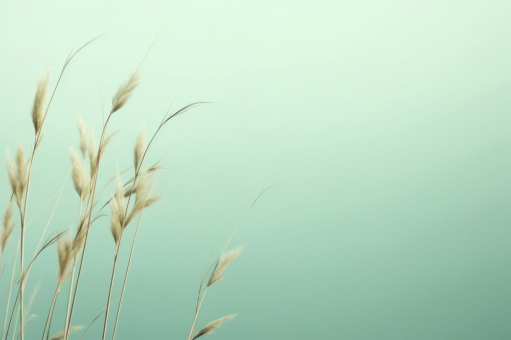 Grass flower plant tranquility agriculture. AI generated Image by rawpixel.