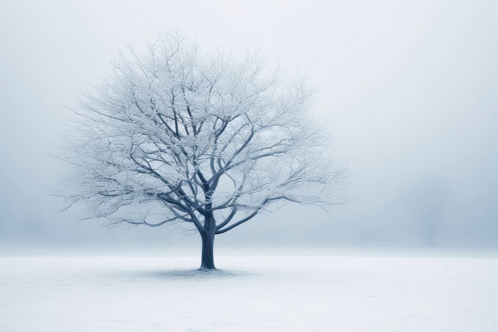 Leafless tree covered with snow landscape outdoors nature. AI generated Image by rawpixel.