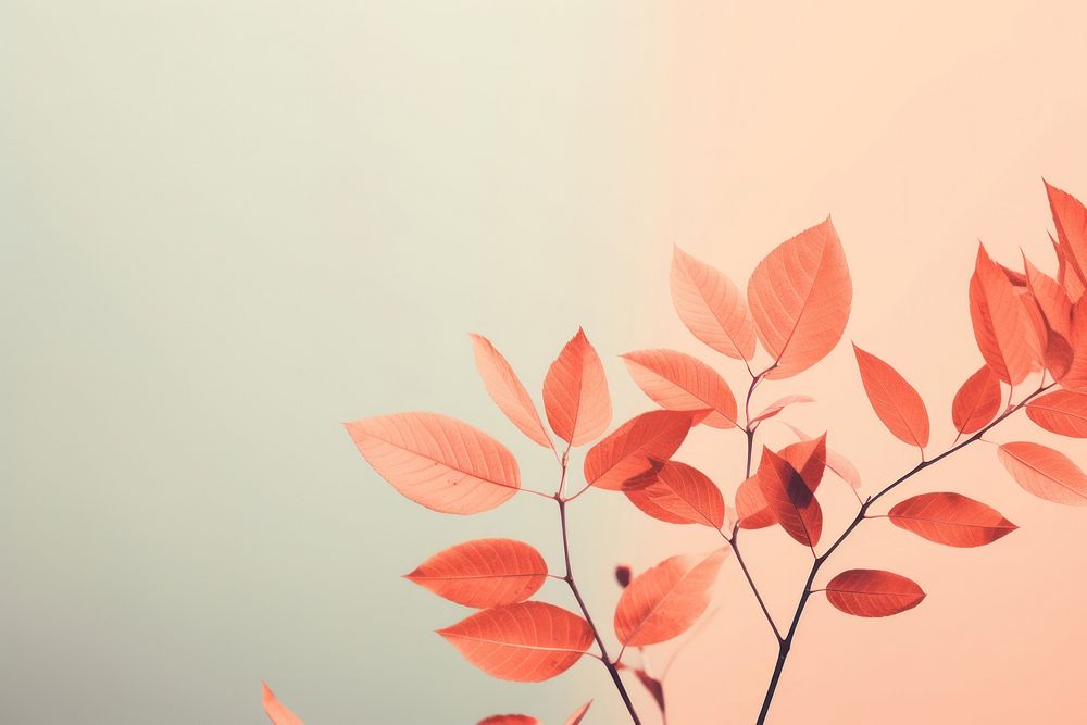 Leaves outdoors plant petal. AI generated Image by rawpixel.