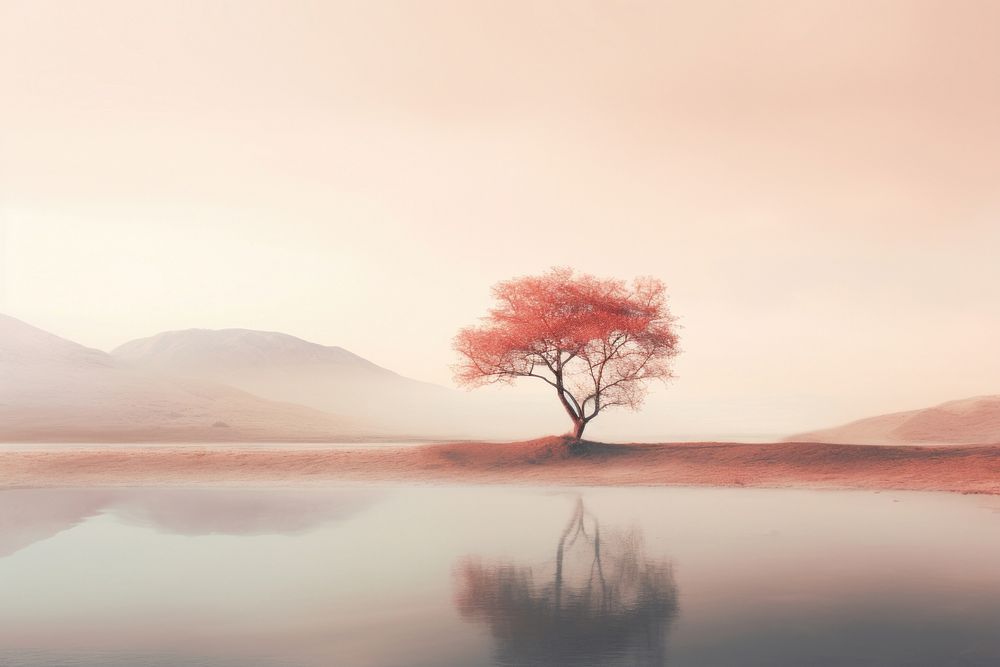 Surreal landscape outdoors nature plant. AI generated Image by rawpixel.