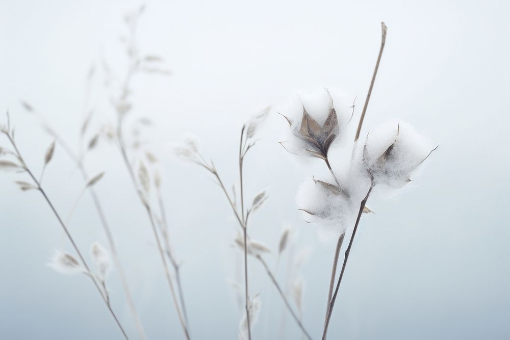 Winter outdoors blossom nature. AI generated Image by rawpixel.