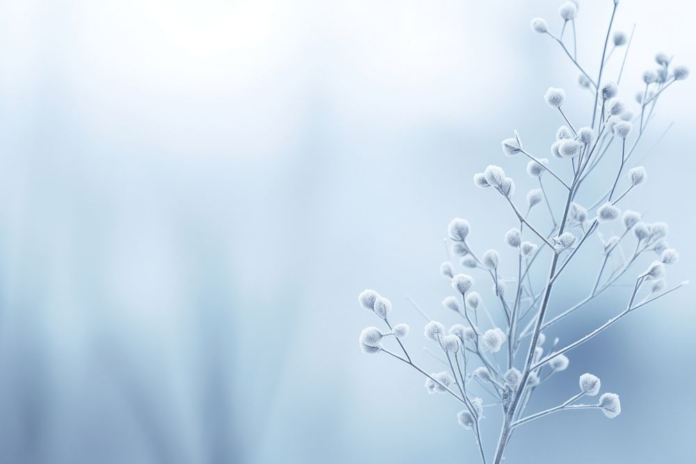 Winter outdoors nature frost. AI generated Image by rawpixel.