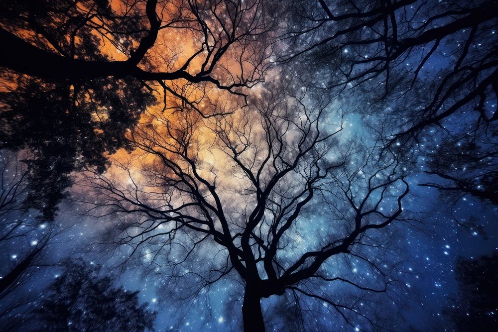 The Milky Way and the trees outdoors nature night. AI generated Image by rawpixel.
