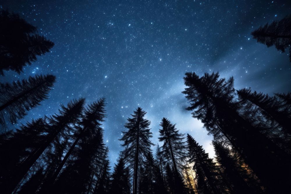 The Milky Way and the trees landscape outdoors nature. AI generated Image by rawpixel.