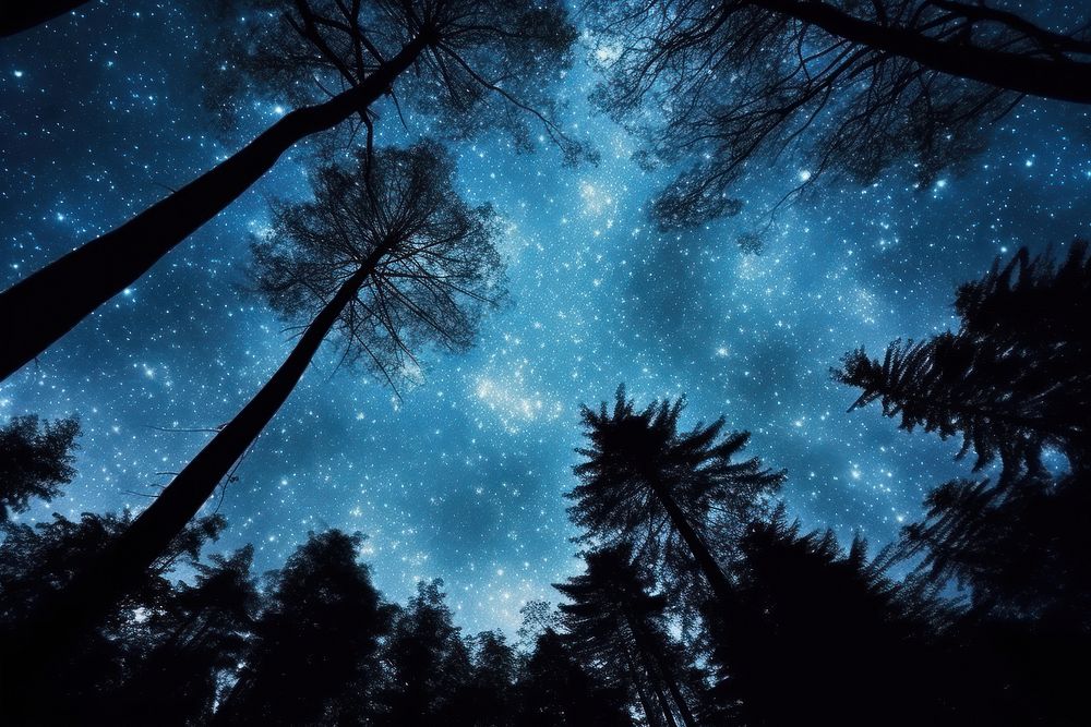 The Milky Way and the trees landscape astronomy outdoors. AI generated Image by rawpixel.