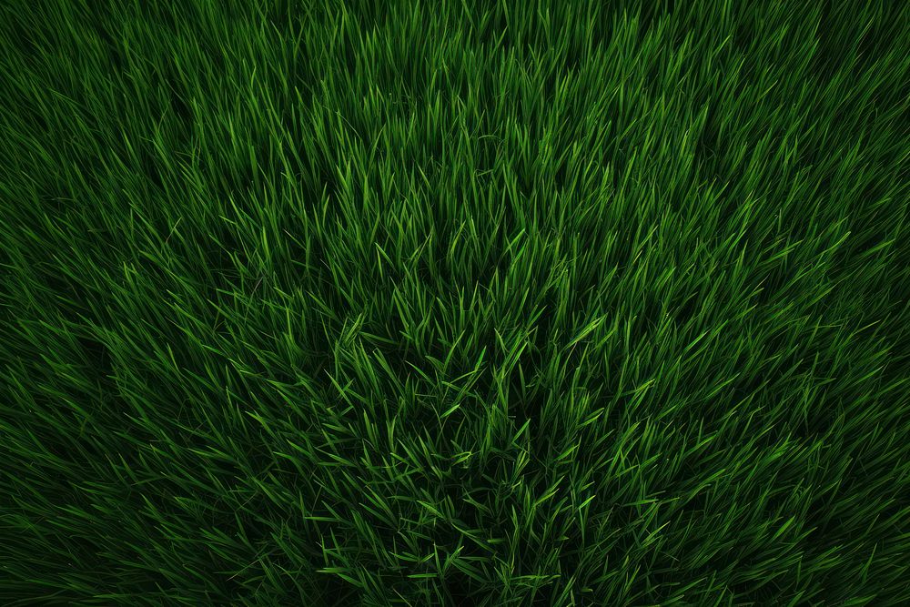 Top view-green grass plant lawn backgrounds. AI generated Image by rawpixel.