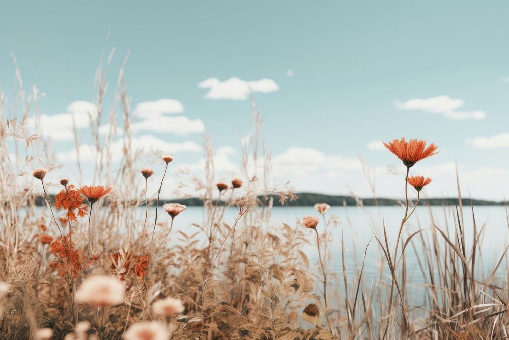 Amazing nature summer outdoors flower plant. AI generated Image by rawpixel.