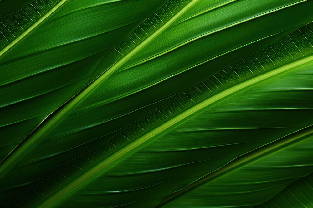 Close-up of a tropical leaf plant green backgrounds. AI generated Image by rawpixel.