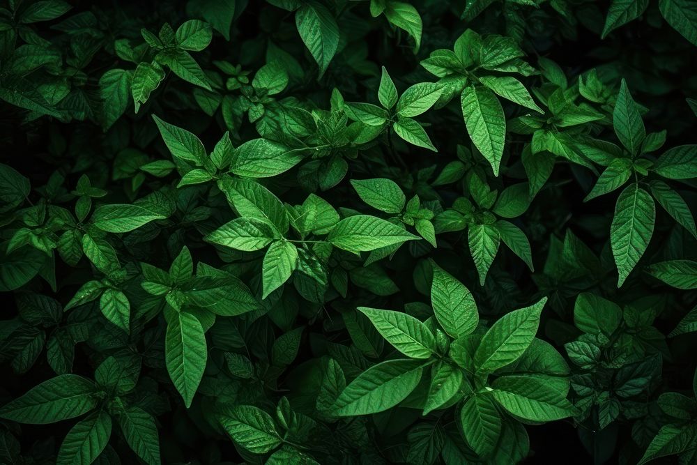 Green nature background backgrounds outdoors plant. AI generated Image by rawpixel.