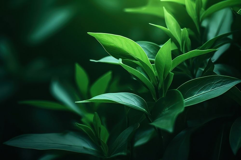 Green nature gradient outdoors plant light. AI generated Image by rawpixel.