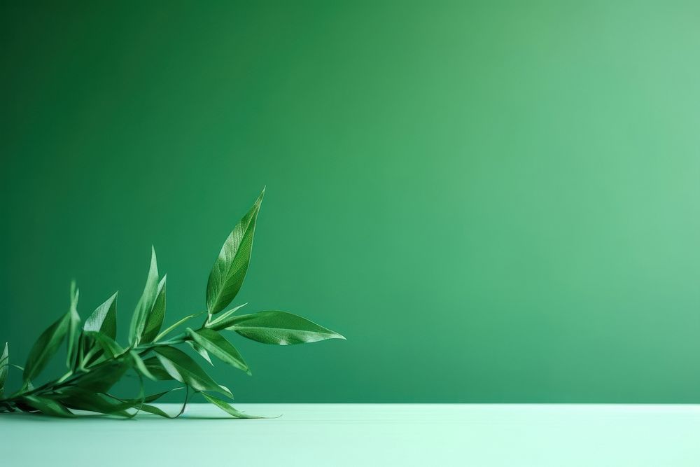 Green nature gradient plant leaf absence. AI generated Image by rawpixel.