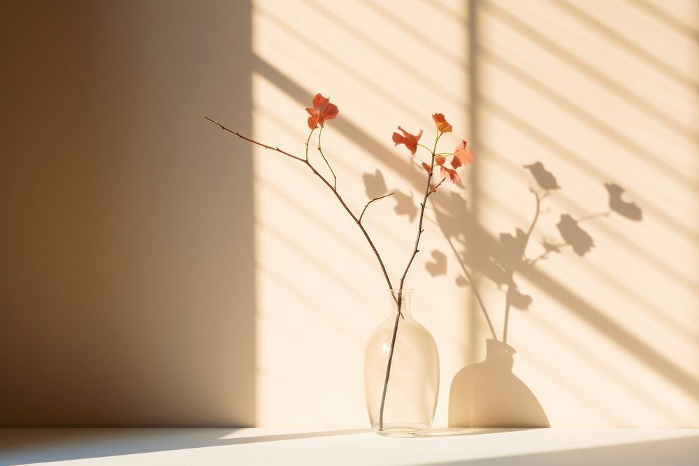 Light and shadows flower plant vase. AI generated Image by rawpixel.