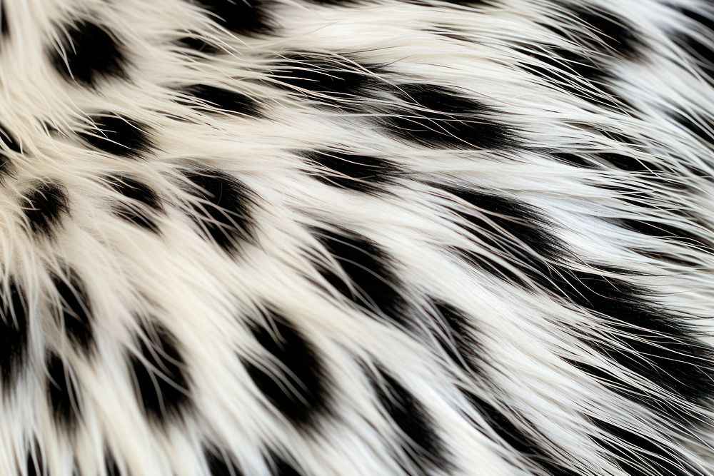 Dalmatian dog hair texture fur backgrounds full frame. AI generated Image by rawpixel.