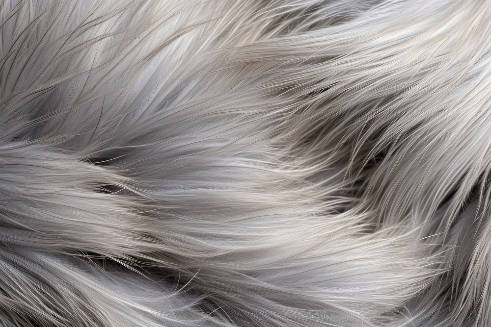 Grey animal hair texture fur backgrounds full frame. AI generated Image by rawpixel.