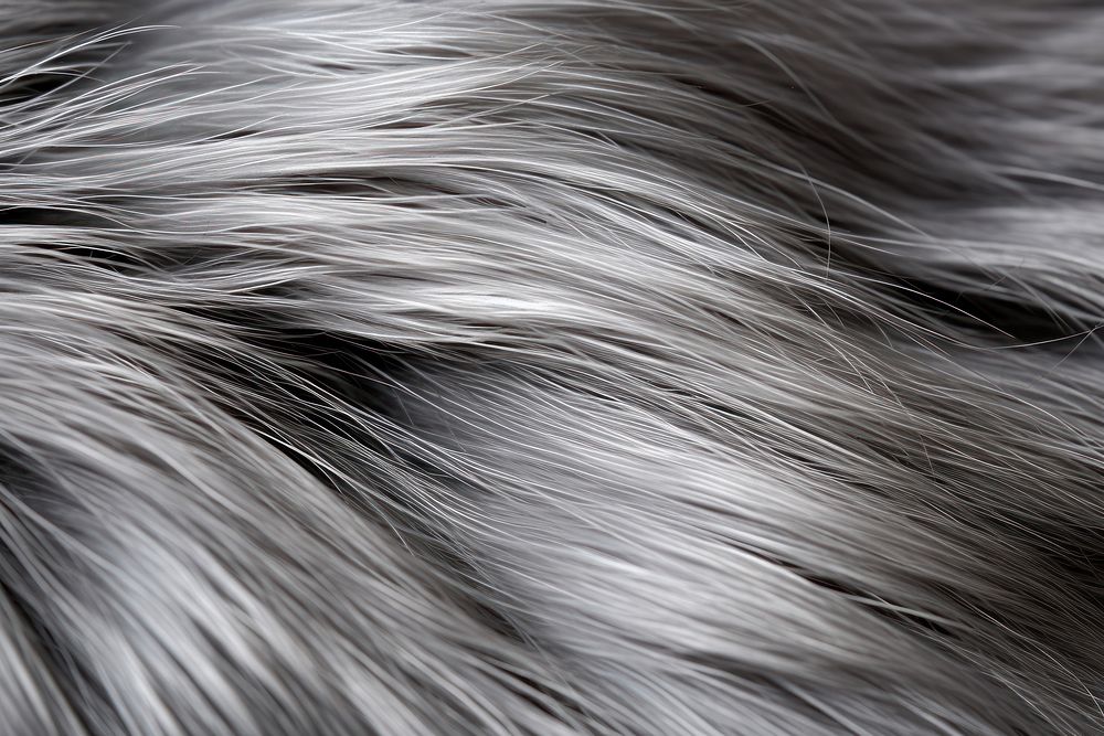 Grey animal hair texture mammal fur backgrounds. AI generated Image by rawpixel.