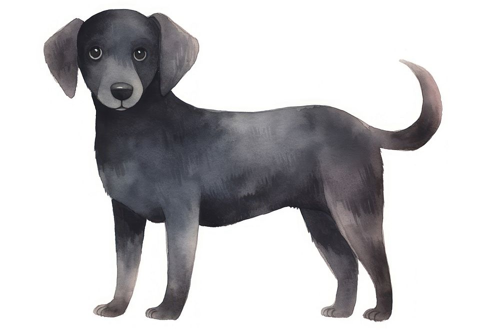 Black dog animal mammal pet. AI generated Image by rawpixel.