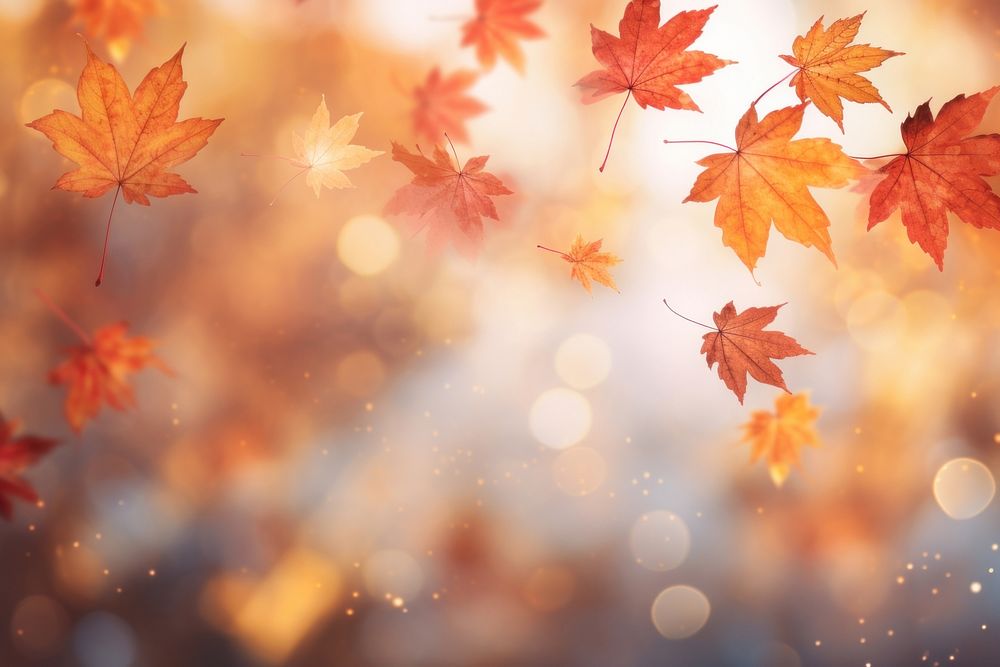 Falling maple leaves bokeh effect background autumn backgrounds plant. AI generated Image by rawpixel.