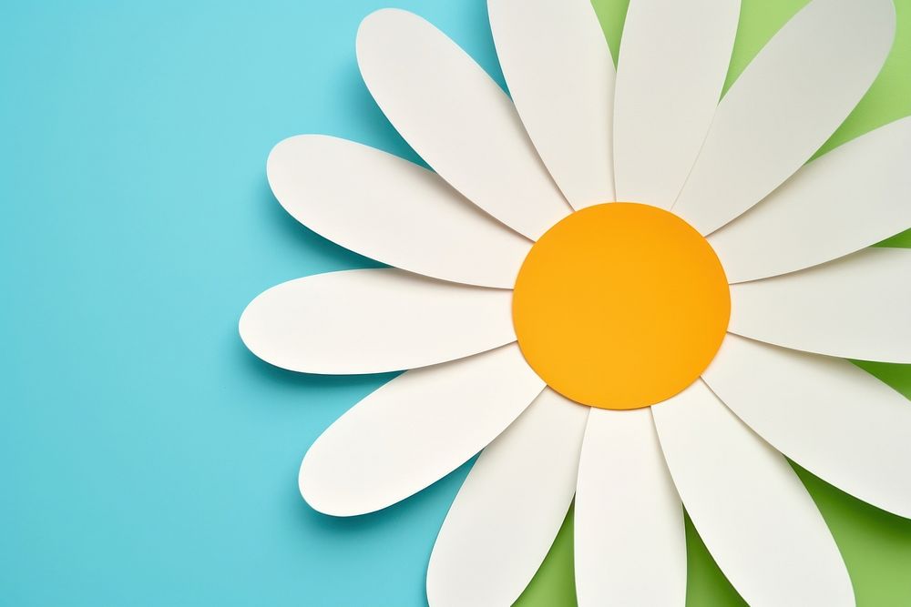 Simple daisy flower pattern shape petal. AI generated Image by rawpixel.
