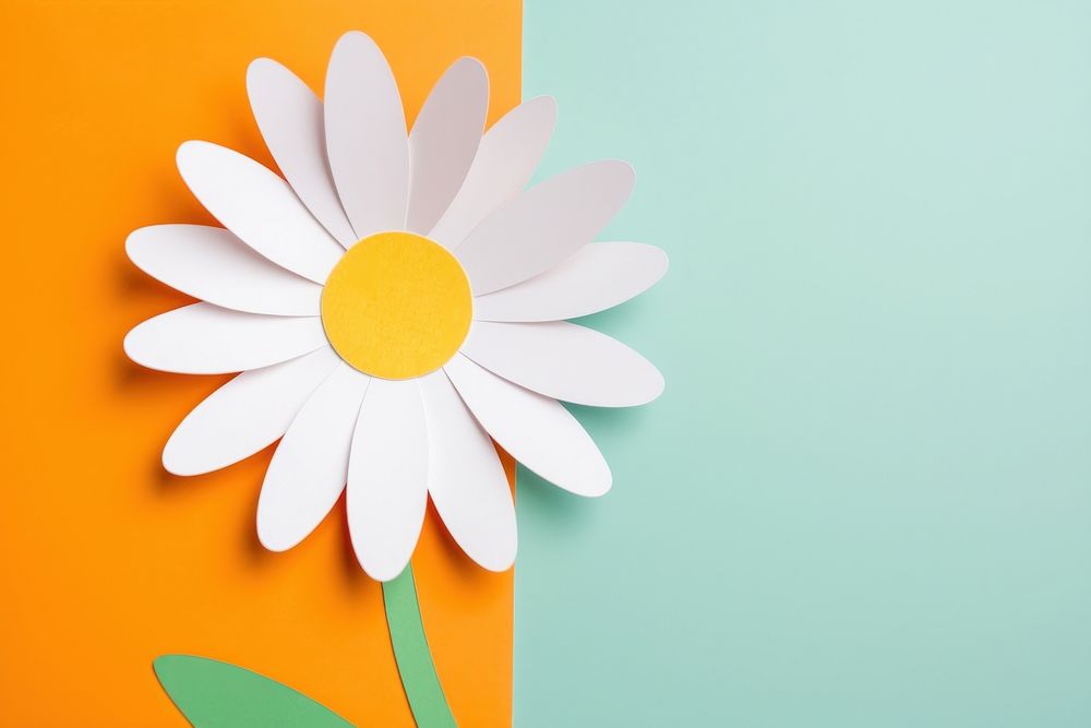 Simple daisy flower pattern petal plant. AI generated Image by rawpixel.