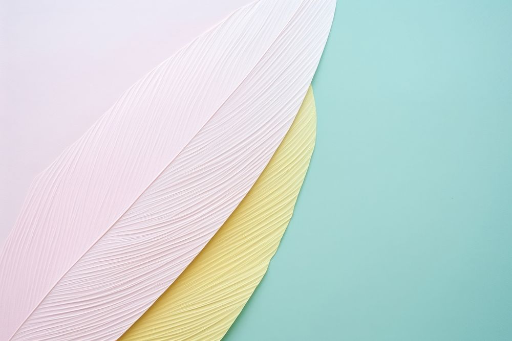Feather backgrounds pattern texture. AI generated Image by rawpixel.