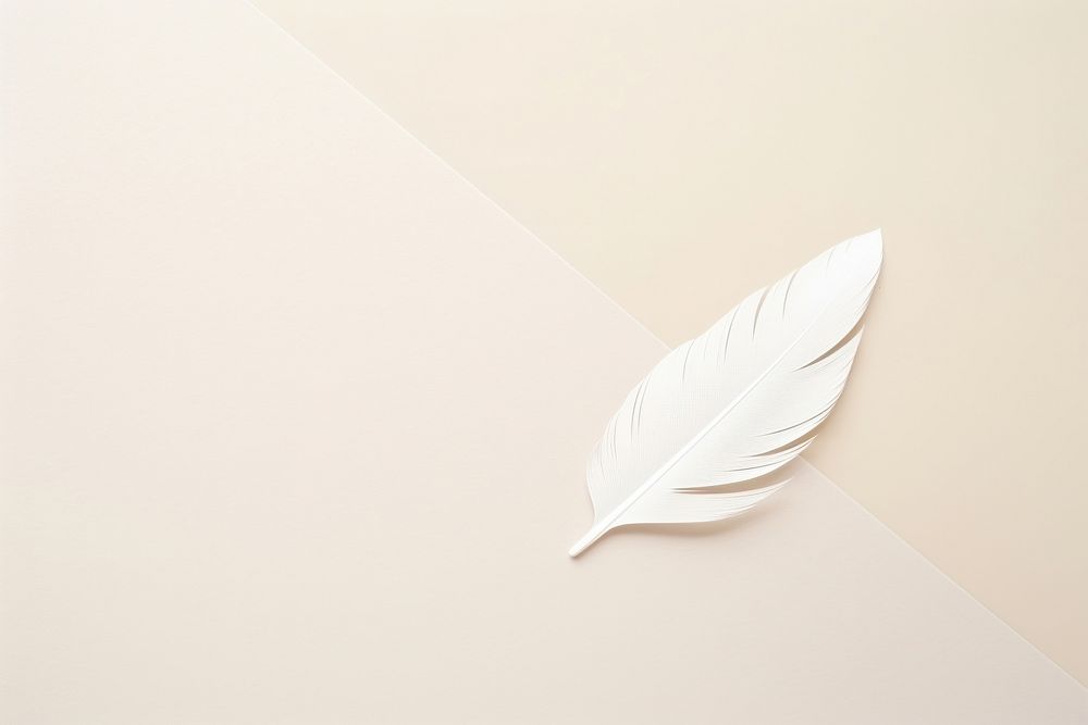 Feather shape white pattern paper. AI generated Image by rawpixel.