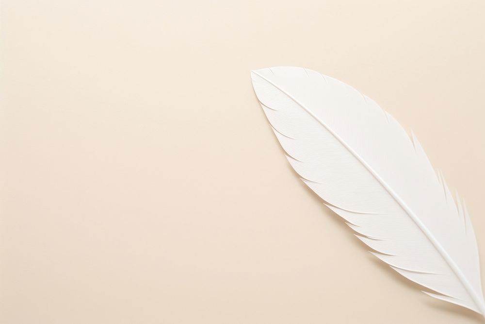 Feather shape white pattern leaf. AI generated Image by rawpixel.
