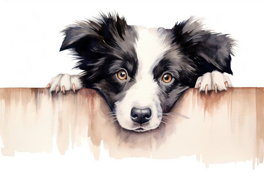 Collie dog mammal animal collie. AI generated Image by rawpixel.