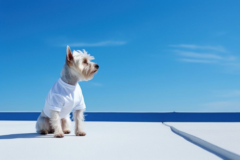Dog outdoors terrier animal. AI generated Image by rawpixel.