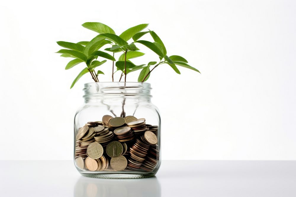 Green plant in jar full of coins money houseplant investment. AI generated Image by rawpixel.