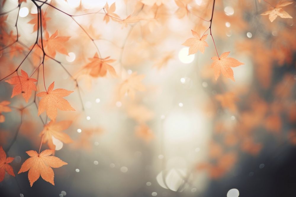 Maple leaves bokeh effect background backgrounds outdoors autumn. AI generated Image by rawpixel.