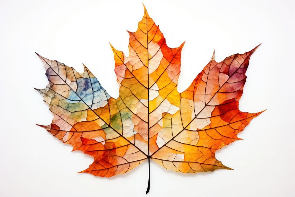 Fall leaf maple plant tree. AI generated Image by rawpixel.