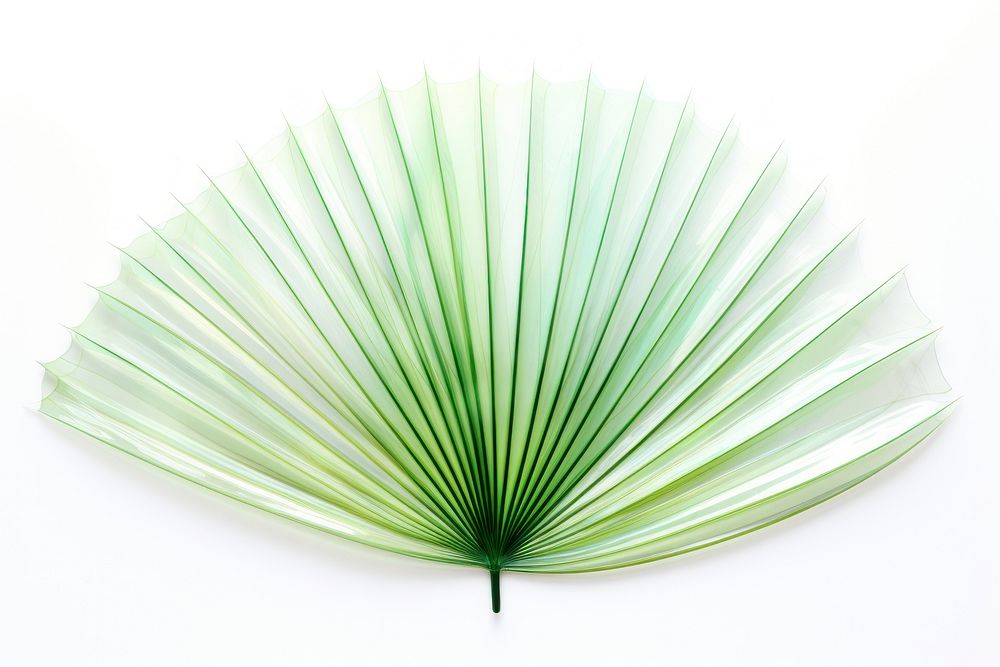 Palm leaf plant art white background. AI generated Image by rawpixel.