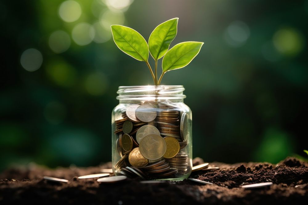 A green little plant in jar full of coins leaf investment currency. AI generated Image by rawpixel.