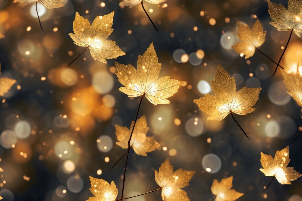 Maple leaves light shape in pattern bokeh effect background backgrounds lighting plant. AI generated Image by rawpixel.